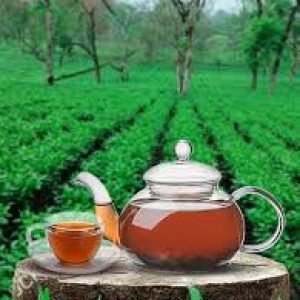 Tea Estates and Luxury Tea