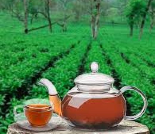 Tea Estates and Luxury Tea